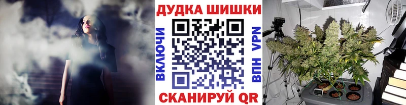 купить наркотик  Раменское  Канабис Amnesia 